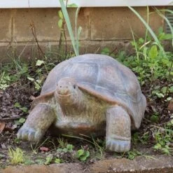 Sunnydaze Decor Sunnydaze Indoor/Outdoor Glass Fiber Reinforced Concrete Talia The Tortoise Patio Garden Yard Entryway Decorative Statue - 29" 9 Sunnydaze Decor Sunnydaze Indoor/Outdoor Glass Fiber Reinforced Concrete Talia The Tortoise Patio Garden Yard Entryway Decorative Statue - 29" -Sunnydaze Decor GUEST 436076f4 ae64 4d3a 8c4c 0574bee84690