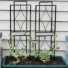 Sunnydaze Decor Sunnydaze Contemporary Metal Wire Garden Trellis For Climbing Plants And Flowers - 30" H - Black - 2-Pack -Sunnydaze Decor GUEST 5322f238 b970 4e39 b174 80e7dafe988e