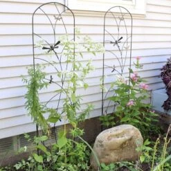 Sunnydaze Decorative Steel Metal Dragonfly Delight Design Garden Trellis - 55.75" H - Black - 2-Pack