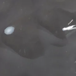 Sunnydaze Decor Sunnydaze Grinning Skull Glass Tabletop Torches -Sunnydaze Decor GUEST cd1607e0 23a0 4ea6 afb7 100be07bf945