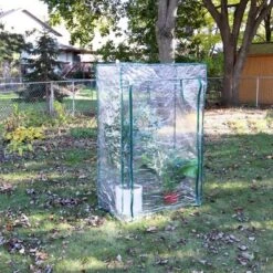 Sunnydaze Decor Sunnydaze Outdoor Deluxe Portable Large Potted Plant And Starter Tomato Plant Greenhouse With Roll-Up Door - Clear -Sunnydaze Decor GUEST fdcce69e ea26 43fd 918f 901a8c046451